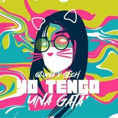 Ozuna x Sech - Yo Tengo Una Gata (VAZILLA Hype DJ Edit)-  FREE DOWNLOAD