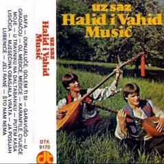 Halid i Vahid Musić, Putem kasa lisičica