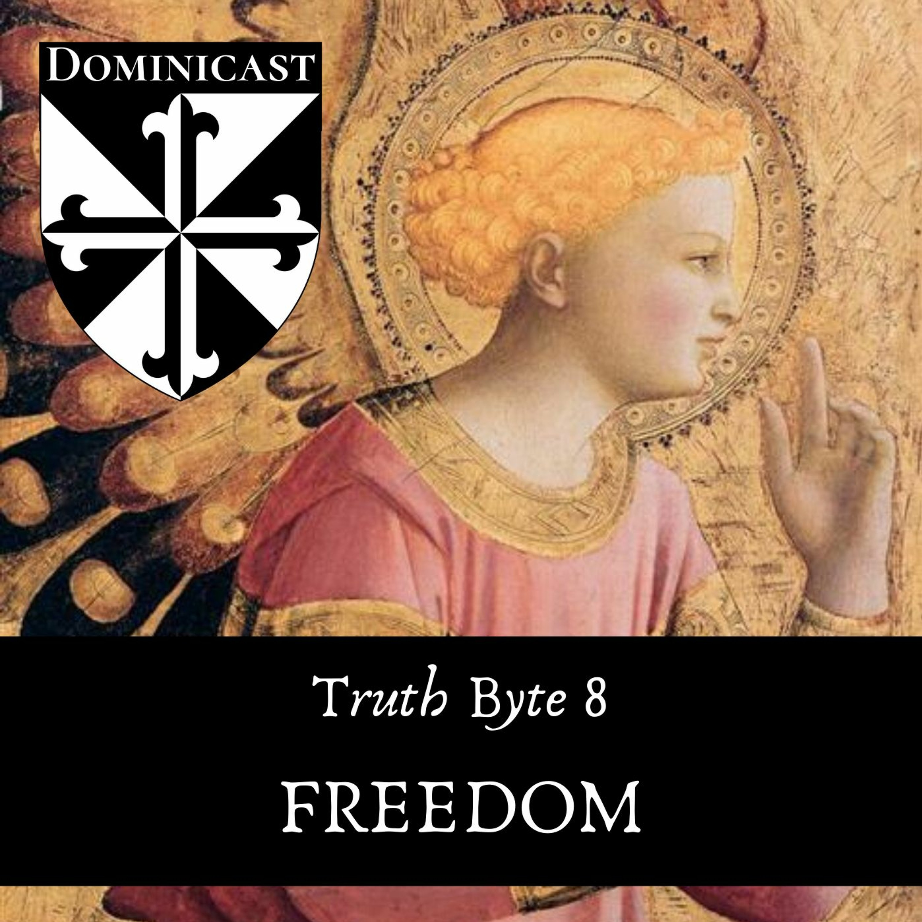 Freedom - Truth Byte 8 episode artwork