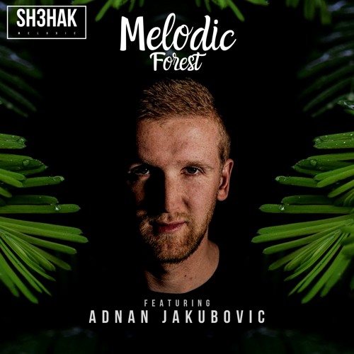 Melodic Forest with SH3HAK - Adnan Jakubovic [Sri Lanka]