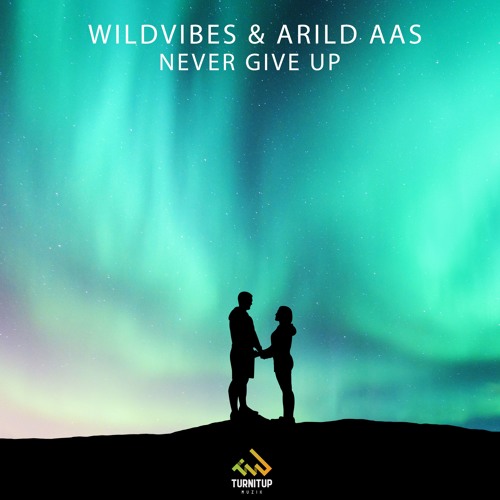 WildVibes & Arild Aas - Never Give Up