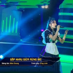 Gặp Nhau Giữa Rừng Mơ - Ưng Linh