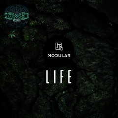 Modular - Life (Gyro Records)- FREE DL!