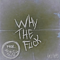 "WHY THE FUCK" [PROD. TRIPLESIXDELETE]