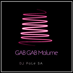 DJ PaLe SA - Gab Gab Malume