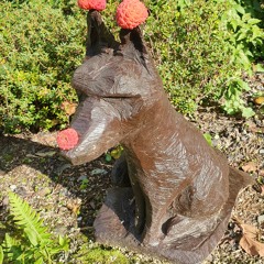 Pater Moeskroen - Roodkapje 2.0