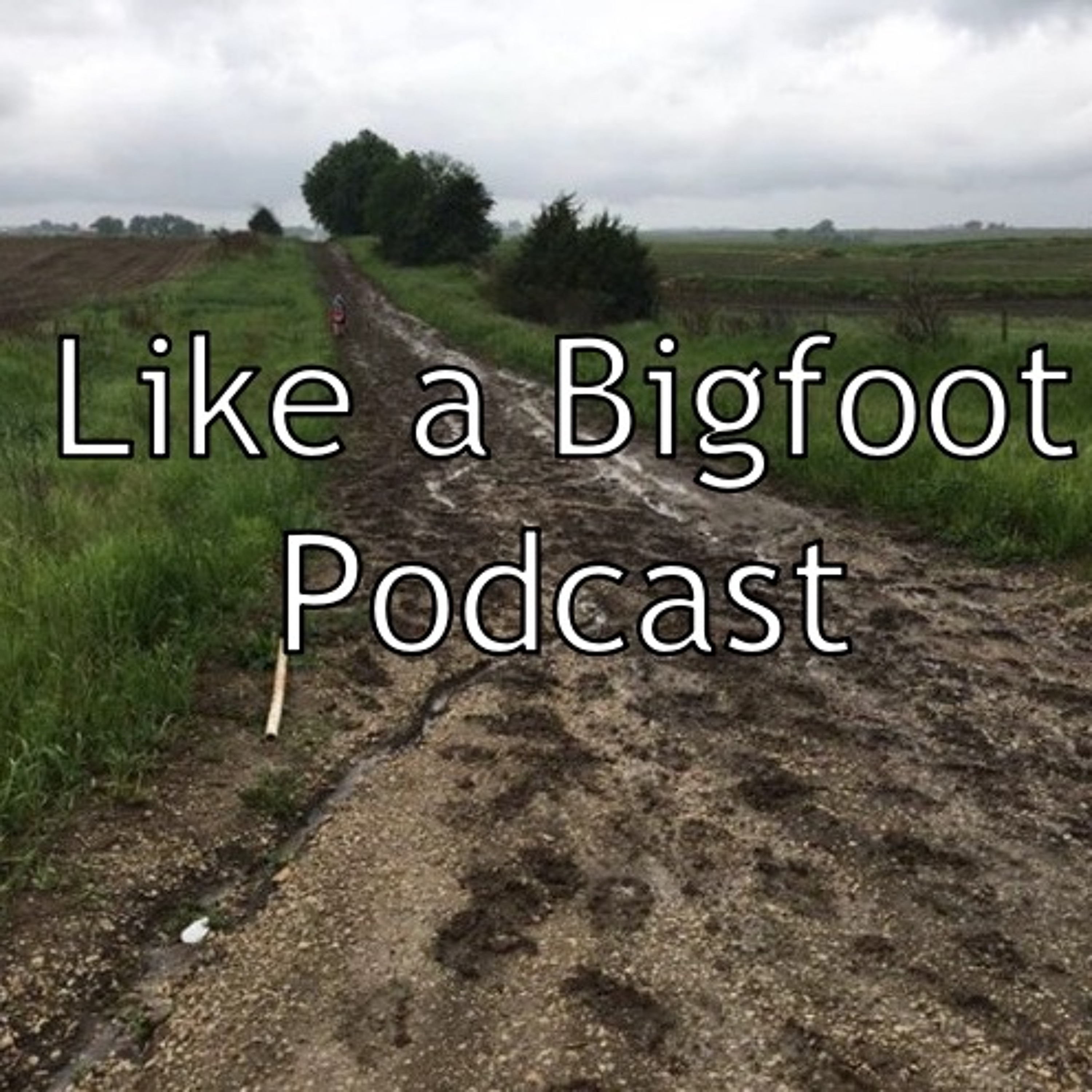 Like a Bigfoot