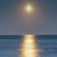 Meditation