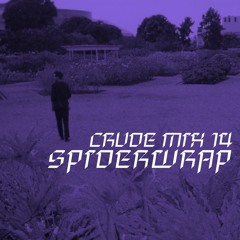 CRUDE MIX I 14 - SPIDERWRAP