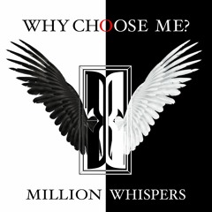 WHY CHOOSE ME?
