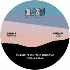 Blame It On The Groove 7"