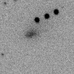 Collsion Course with Avi Loeb