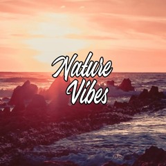 NatureVibes - Deep Café vol.37