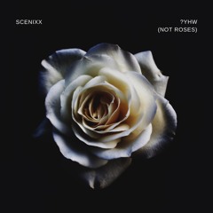 Scenixx - ?YHW (Not Roses)