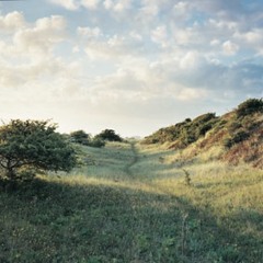 Si Begg - Revelation 2 (2019 Rewire)