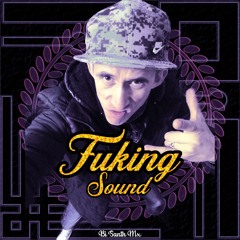 Fuking Sound (Bi Santh Mx)
