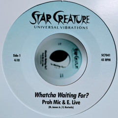 SC7041 : Proh Mic & E. Live - Whatcha Waiting For? (Original Mix)