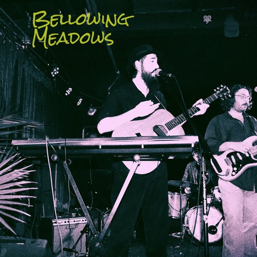 Lighthouse (Bellowing Meadows, TLC 11 22 19)