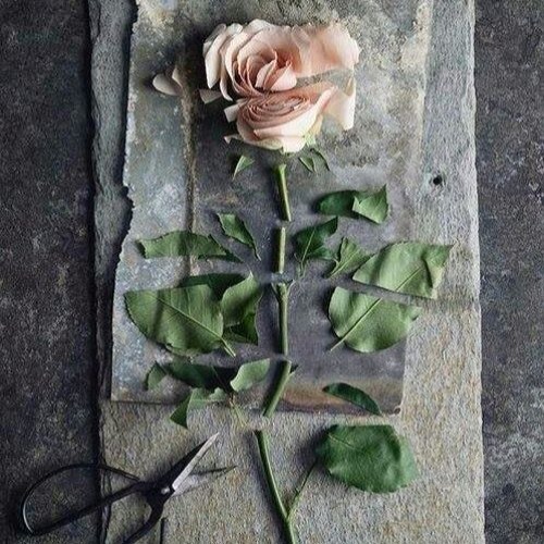 Grim - SimpleDeath