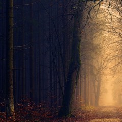 Anti-Mutant Leaflet Campaign