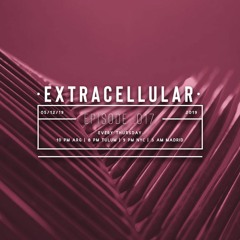 Extracellular / Episode 017 / 05-Dec-2019