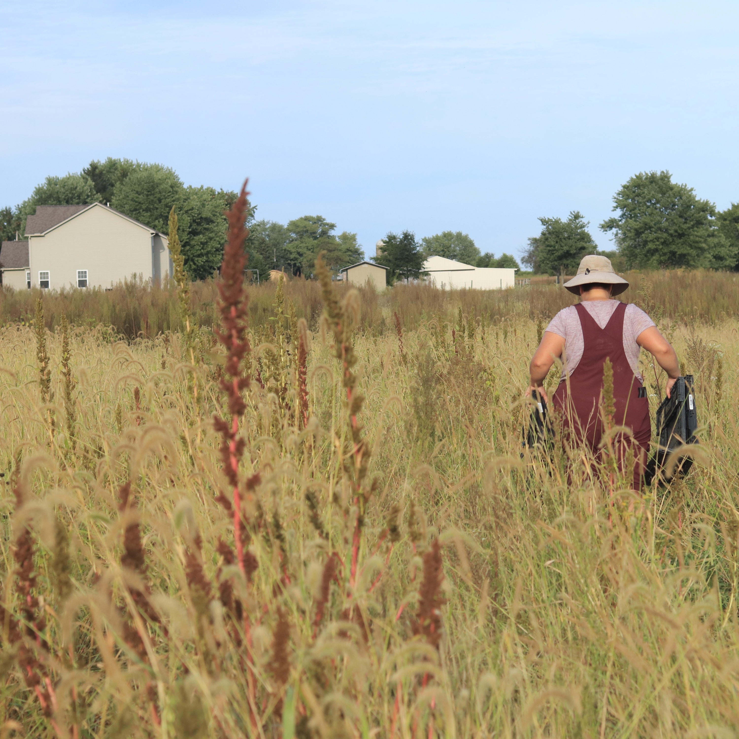 GrassRoot Ohio