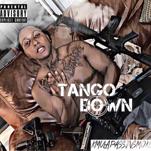 Tango down maxon dc motor