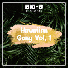 Hawaiian Gang Vol. 1