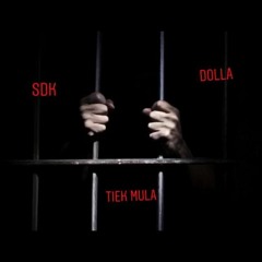 Forgotten Ft Tiek Mula X Sdk