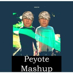 Shaun Frank | Madeon | Porter Robinson - Let You Get Shelter (Peyote Peyton Mashup)
