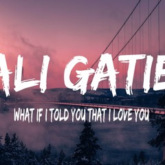 Alie Gatie - What If i Told You (Snippet)