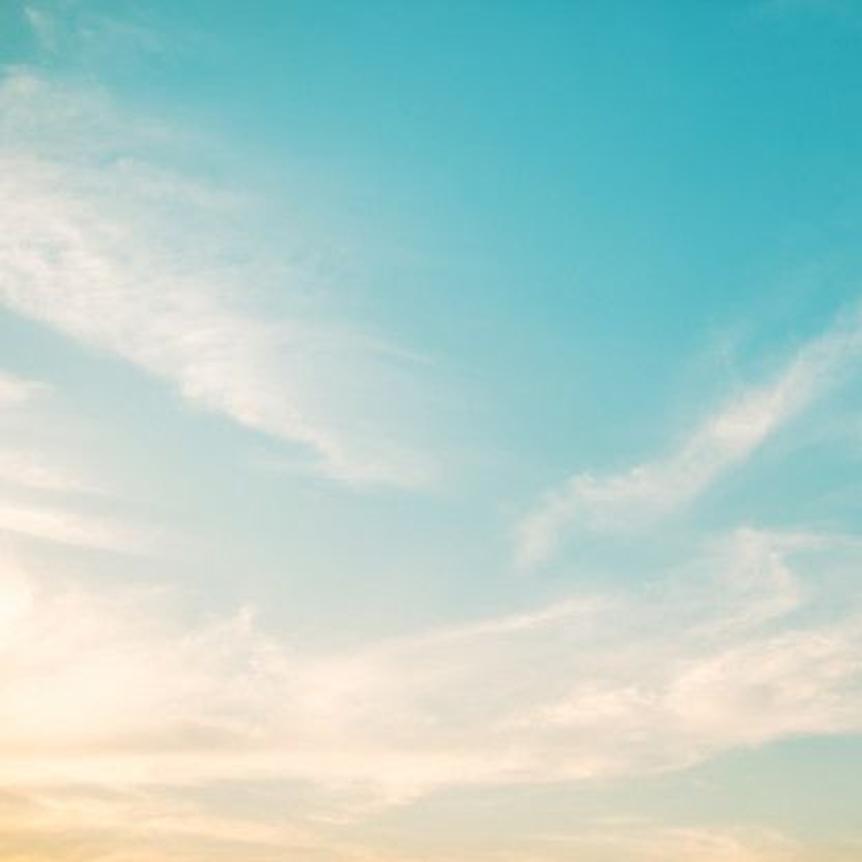 Track cover