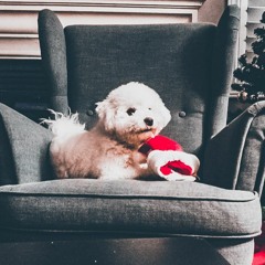 God Rest Ye Merry Gentlemen - Trap Remix