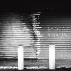 SAODAJ - POKOR LER - 06 - ILS ARRIVENT