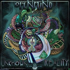 OpeNmiNd & Metaphyz - Order Of Chaos -