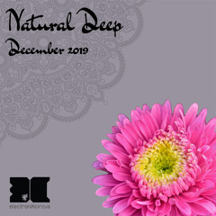 NaturalDeepDecember2019