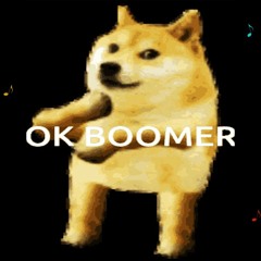 Ok Boomer Song  day by dave