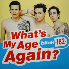 Blink 182 - Whats My Age Again (Signalfluss Remix)