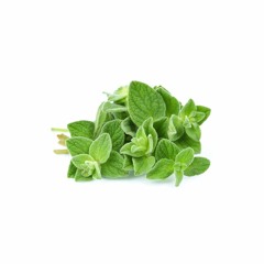 oregano