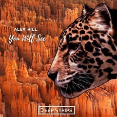 Alex Hill - You Will See (Chunkee Remix)