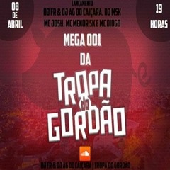 FLAUTA DA MEGA 001 DA TROPA DO GORDÃO (EXCLUSIVO)