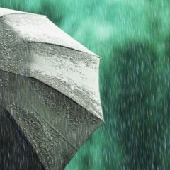 Rain (дождь)