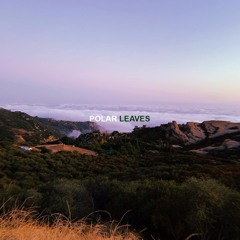 leaves (prod. ihatepolar)