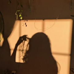Sun In My Face