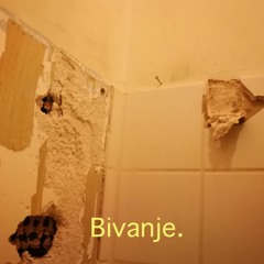 Bivanje.