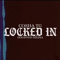 DI$E X COSHA TG - Locked In