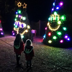 Santa Claus is Coming to Town