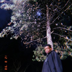 Audacity