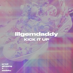 kick it up (prod. ginseng & sedaku)