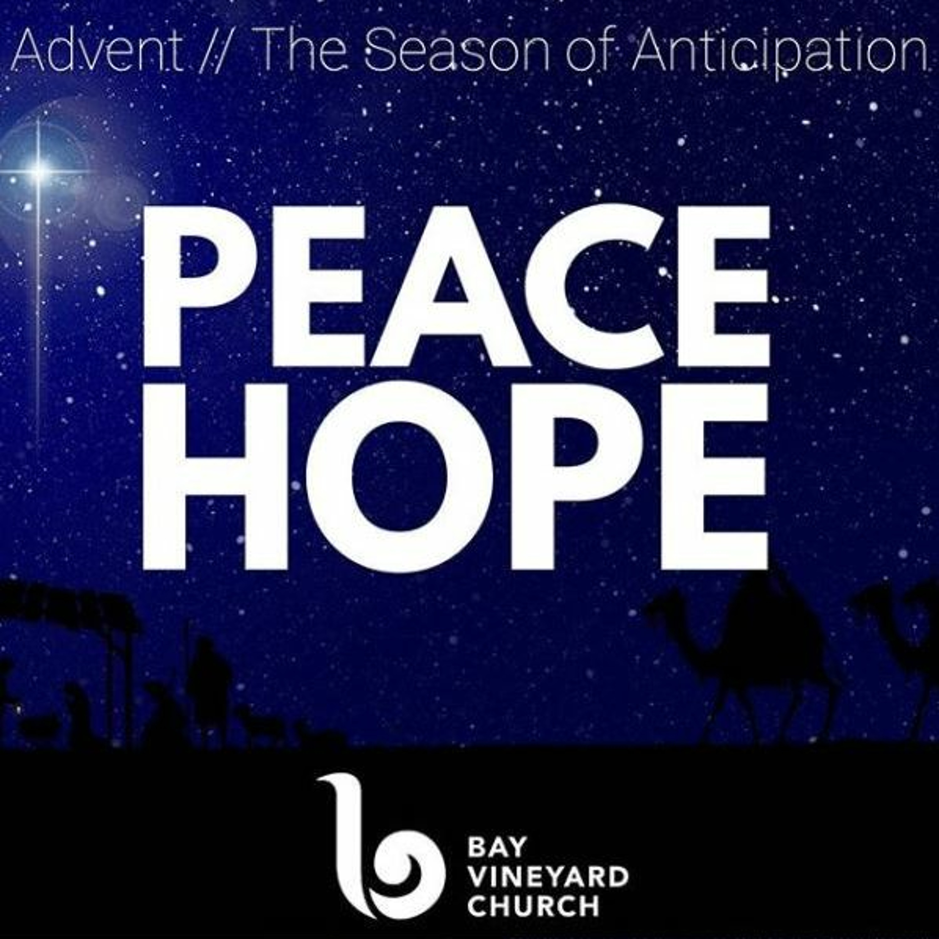 15th December // Advent - Peace and Hope episode artwork
